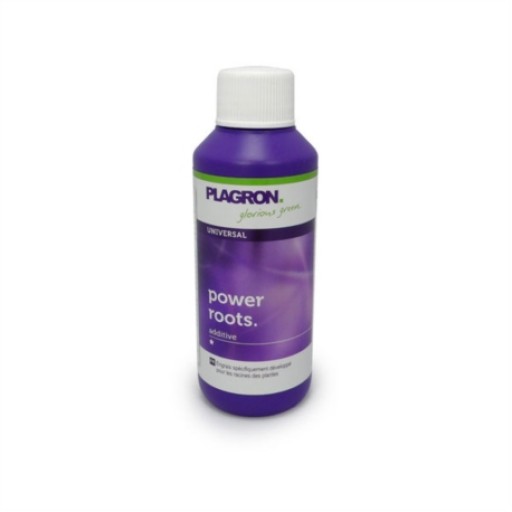 PLAGRON POWER ROOTS - 100ML